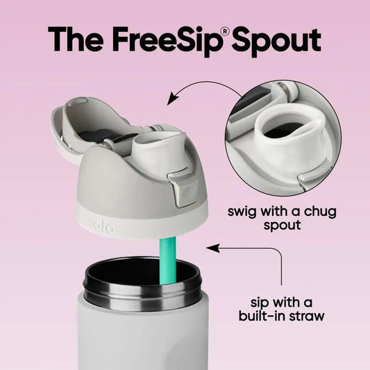 Owala FreeSip Stainless Steel Water Bottle 24 oz Dreamy Field