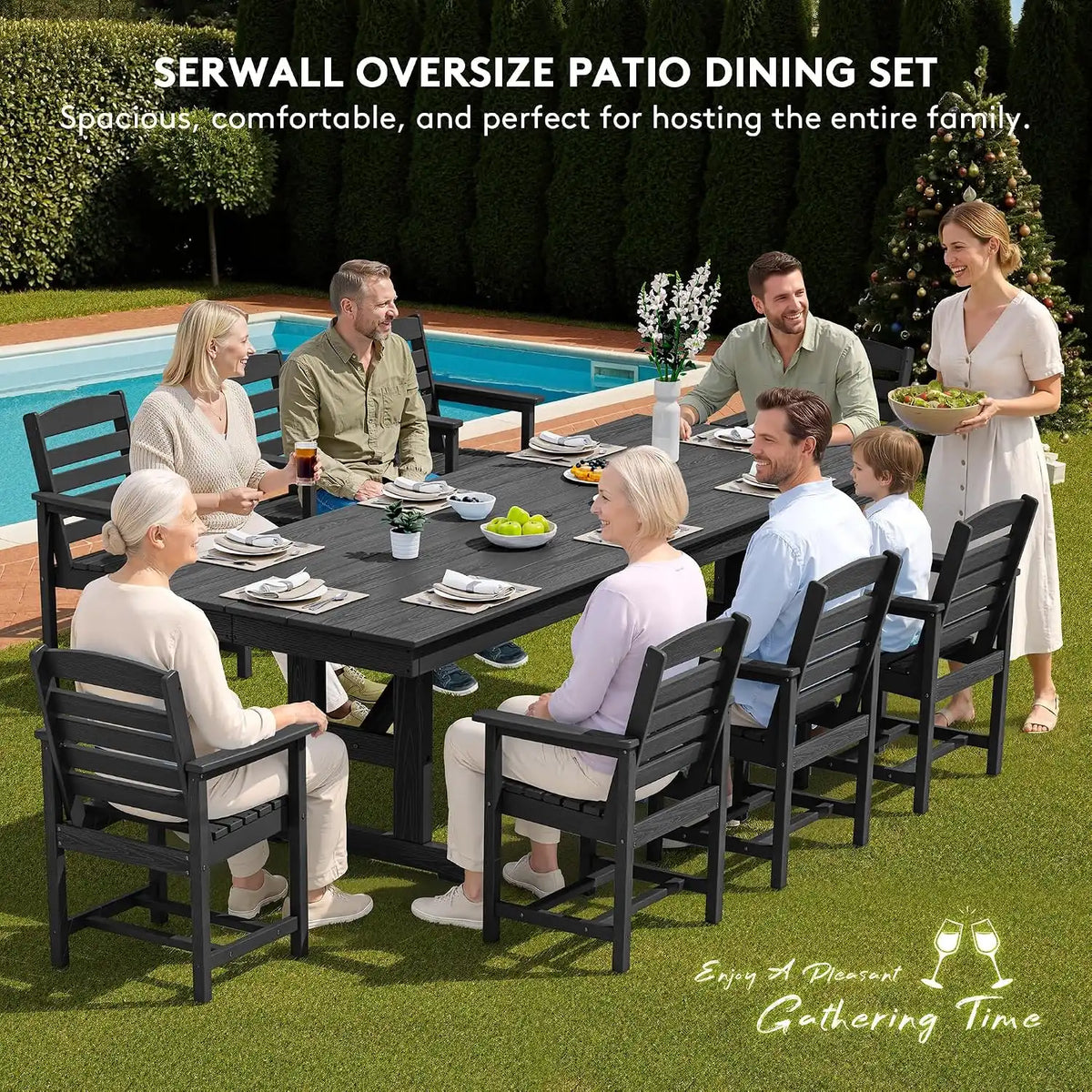 SERWALL Patio HDPE Dining Chairs Set of 2 with Arms, Black