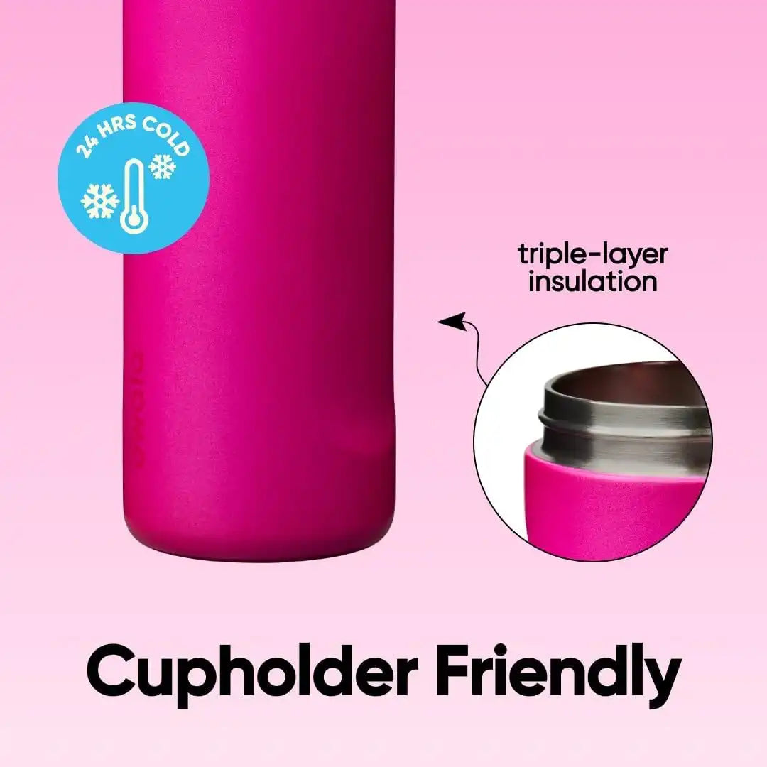 Owala FreeSip Stainless Steel Water Bottle 24 oz Read My Lips