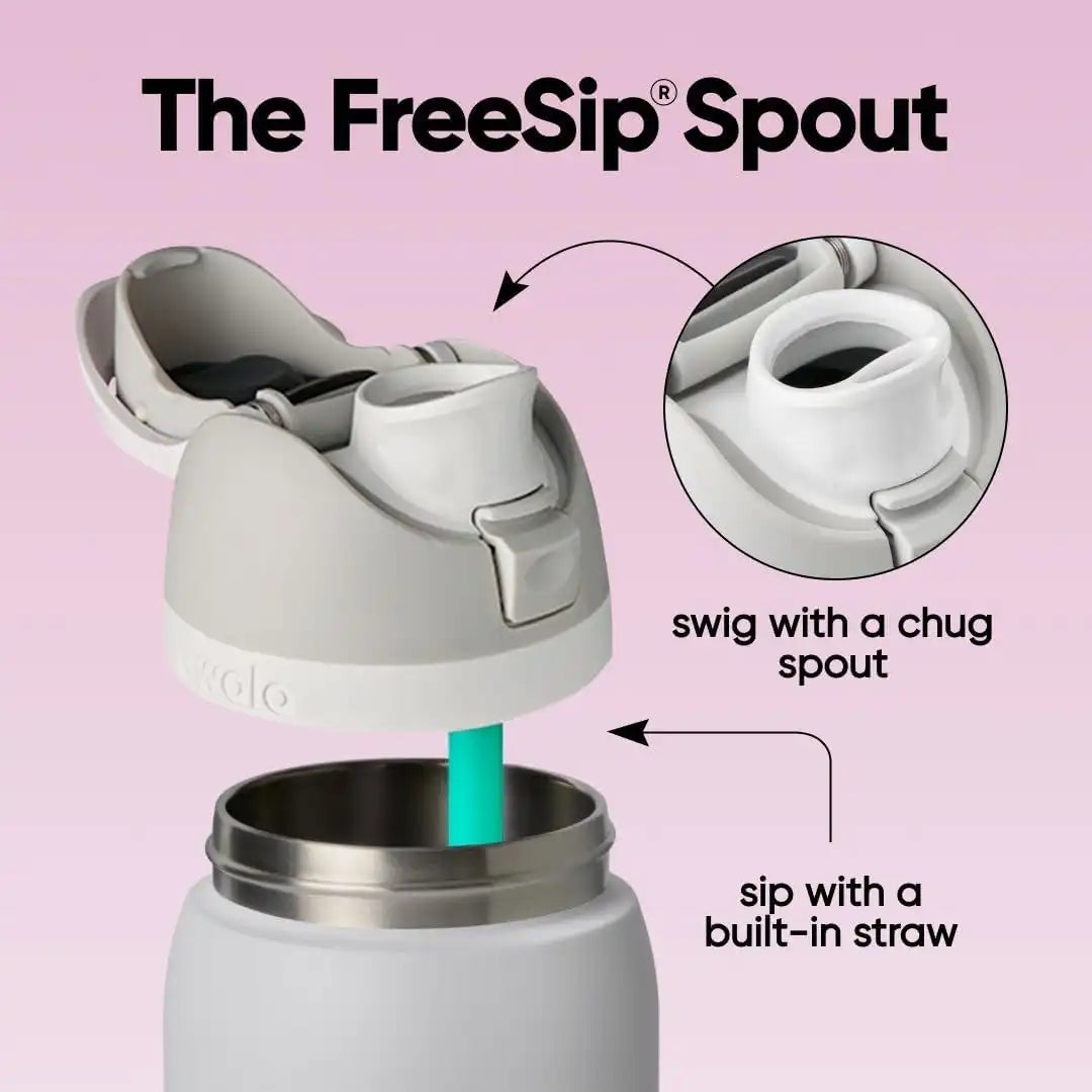 Owala FreeSip Stainless Steel Water Bottle 40 oz Dreamy Field