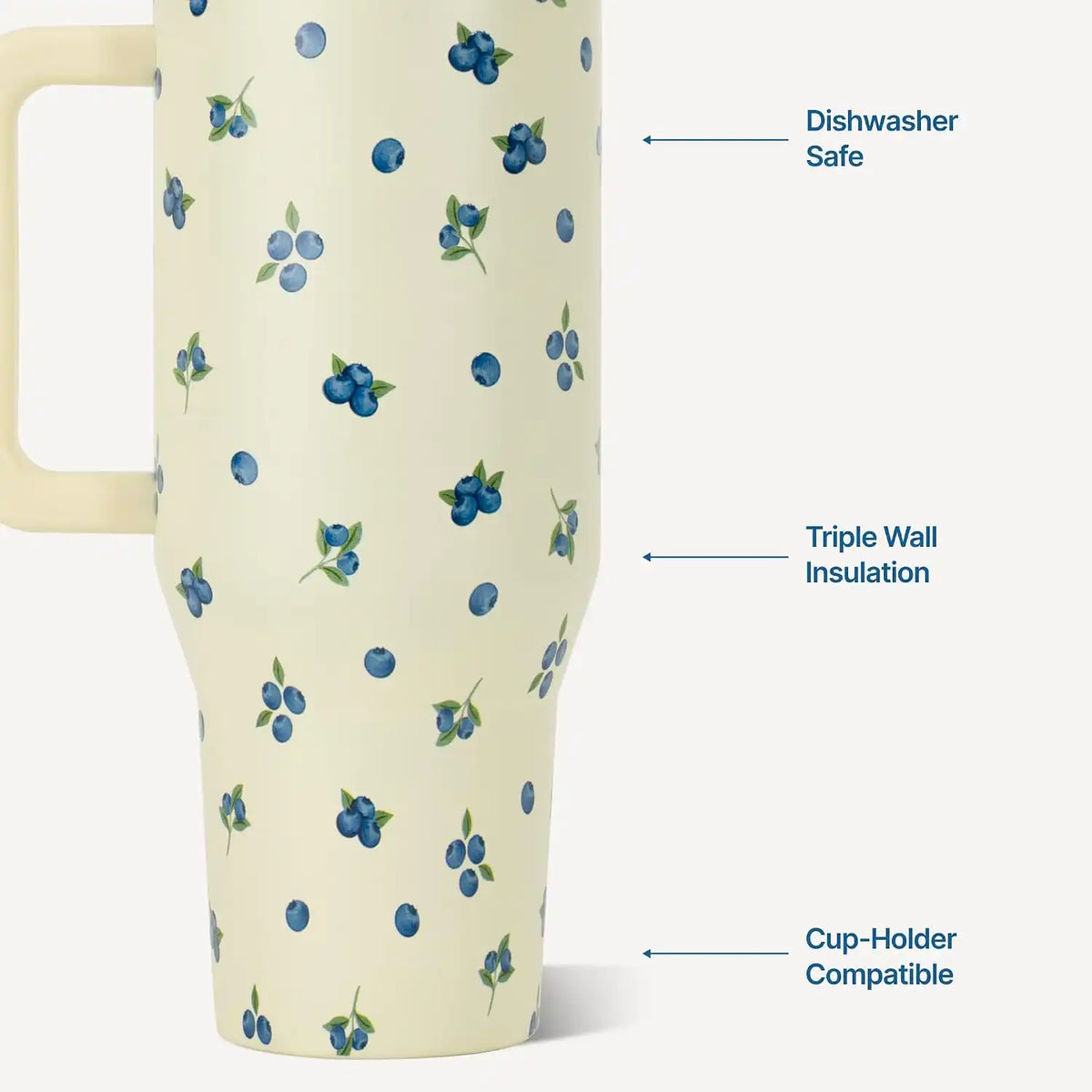 HydroJug Traveler 32oz, Insulated Water Bottle with Handle, Freshly Pick'd
