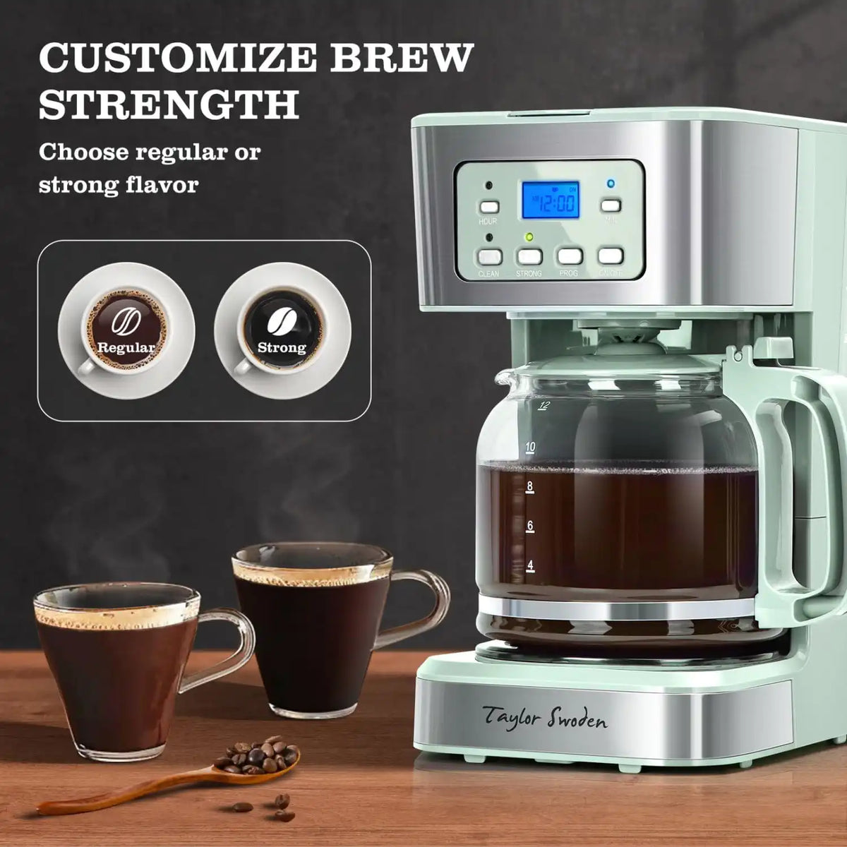 Taylor Swoden 12-Cup Programmable Coffee Maker, Green & Stainless Steel