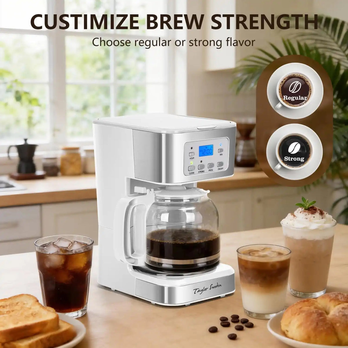 Taylor Swoden 12-Cup Programmable Coffee Maker, White & Stainless Steel